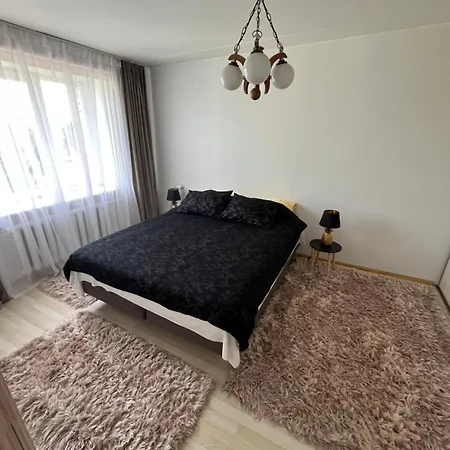 Apartamento Kaksio *