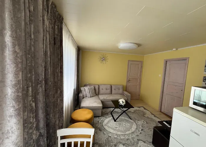 Kaksio 公寓 派尔努