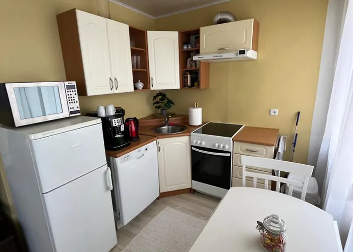 公寓 Kaksio 派尔努